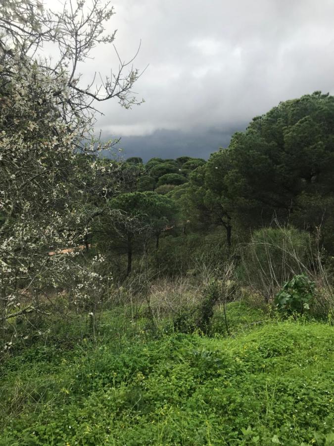 Finca Rustica Los Borrachos Ayamonte Exterior foto