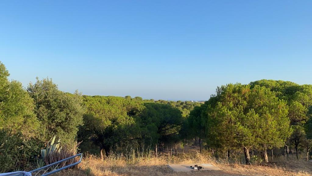 Finca Rustica Los Borrachos Ayamonte Exterior foto